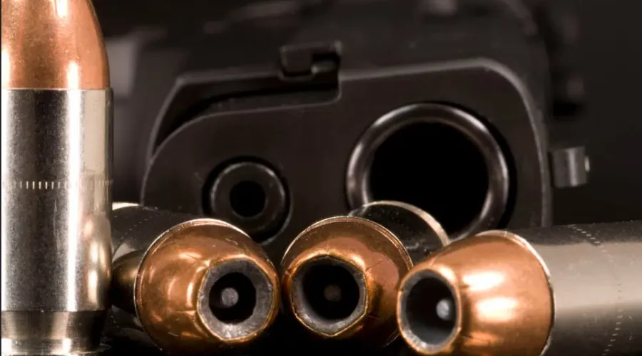 Minnesota Moves to Adopt Gun-Safety Laws