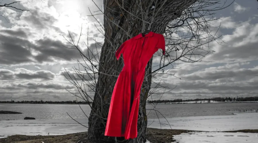 Library to display red dresses
