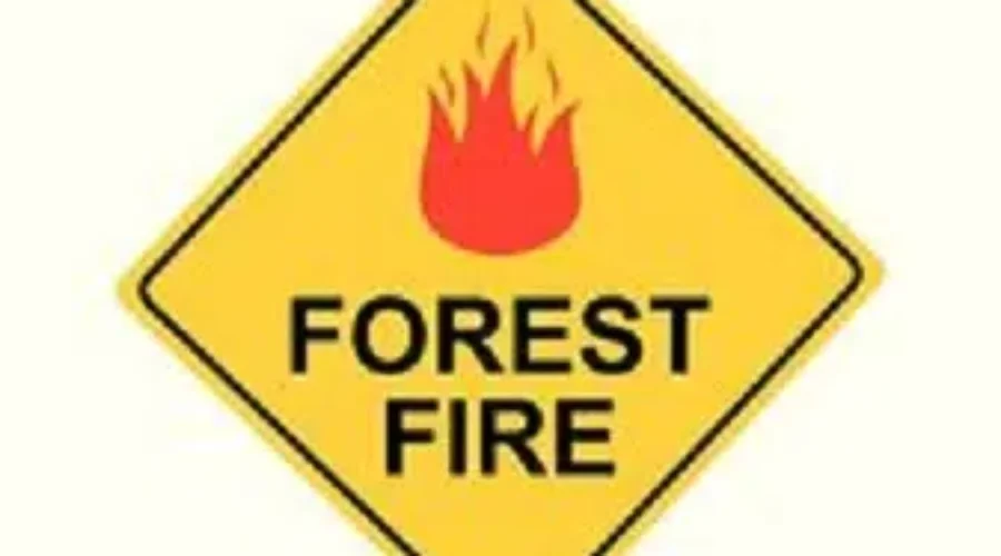 Latest Forest Fire Information