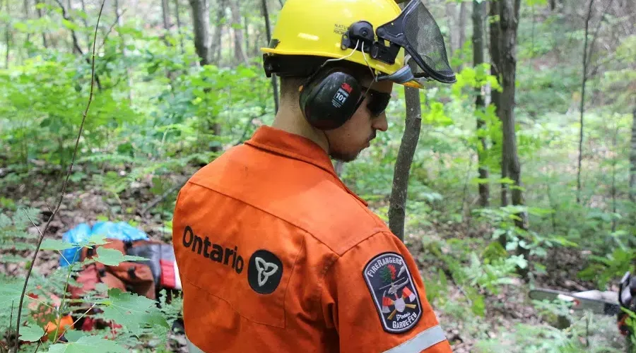 Hazard drops, RFZ remains