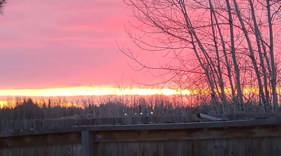 Sunset On The Edge Of Spring