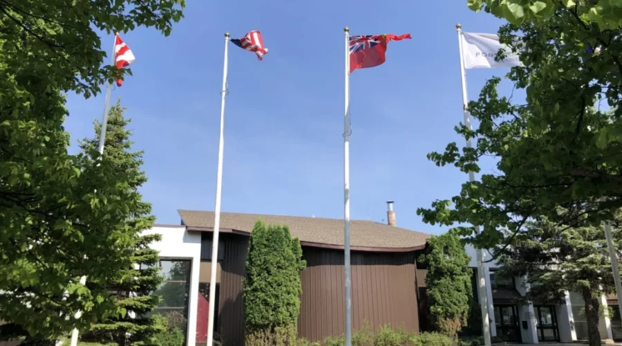 Flag policy discussed by committee