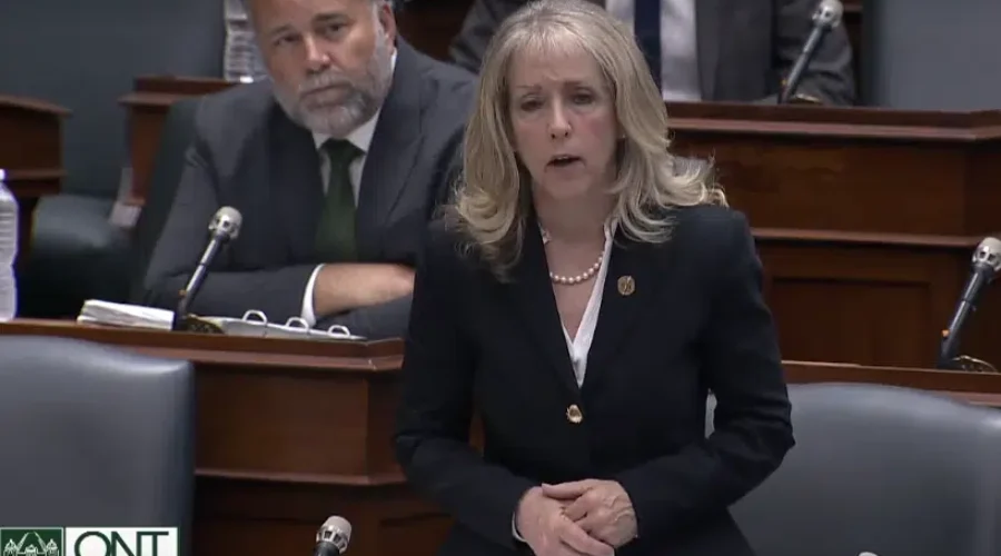 Two provincial by-elections called