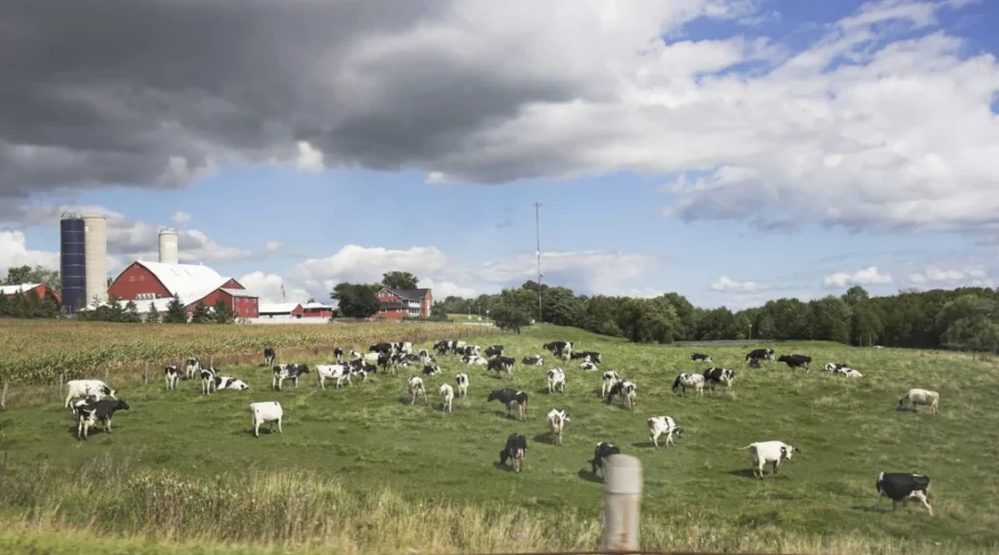 New funding for agricultural needs