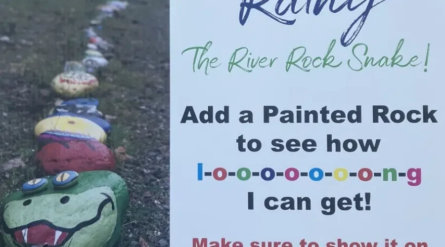 “Rainy The River Rock Snake” Art Project – Jolene Richert Interview