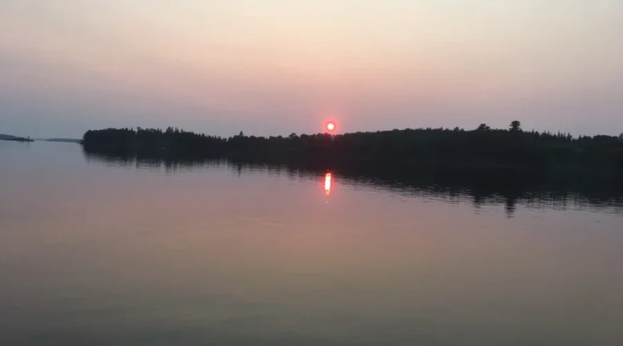 August forecast calls for near normal temperatures