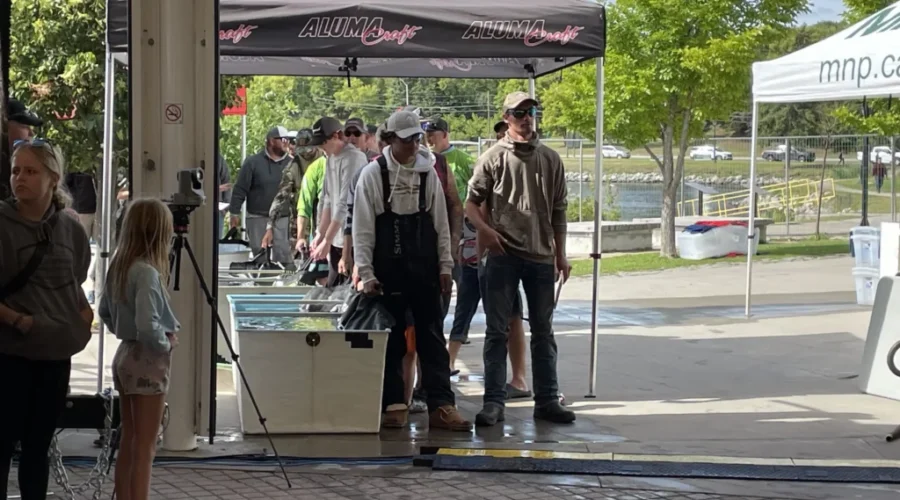 Bachynski and Beernaert lead KBI