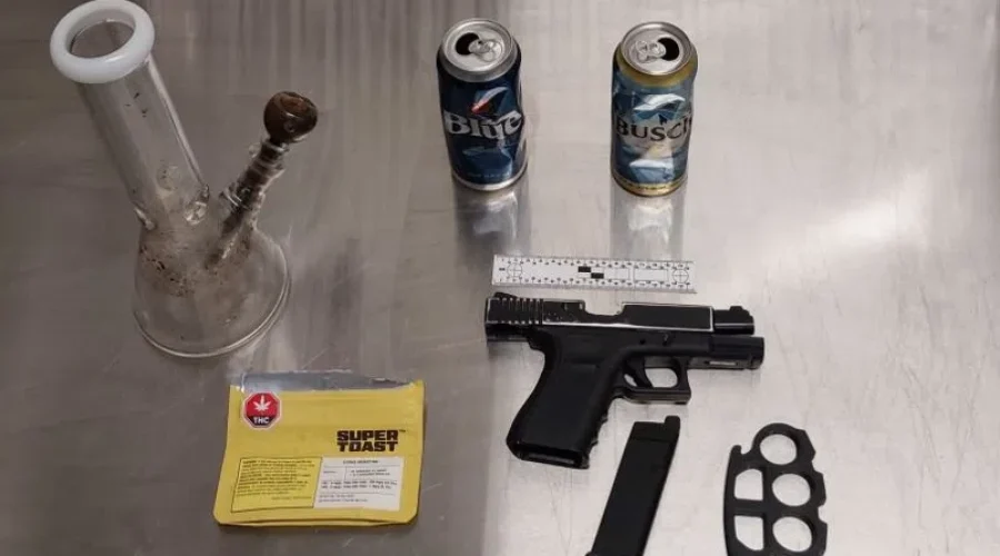 RIDE stop leads to weapons charges