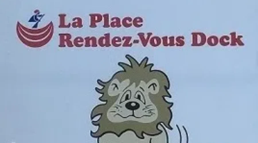 Voyageur Lions Club New Year’s Day Polar Plunge – Bill Michl Interview