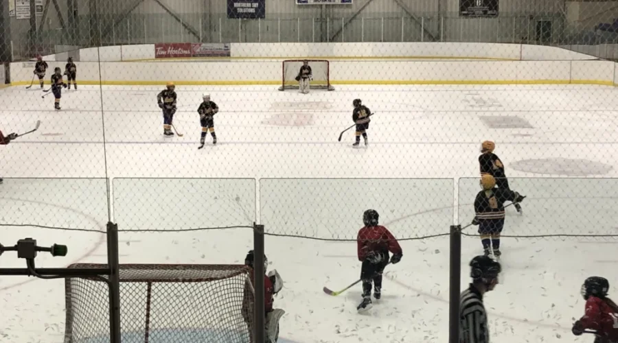 Council reviews proposal to expand hockey tournaments