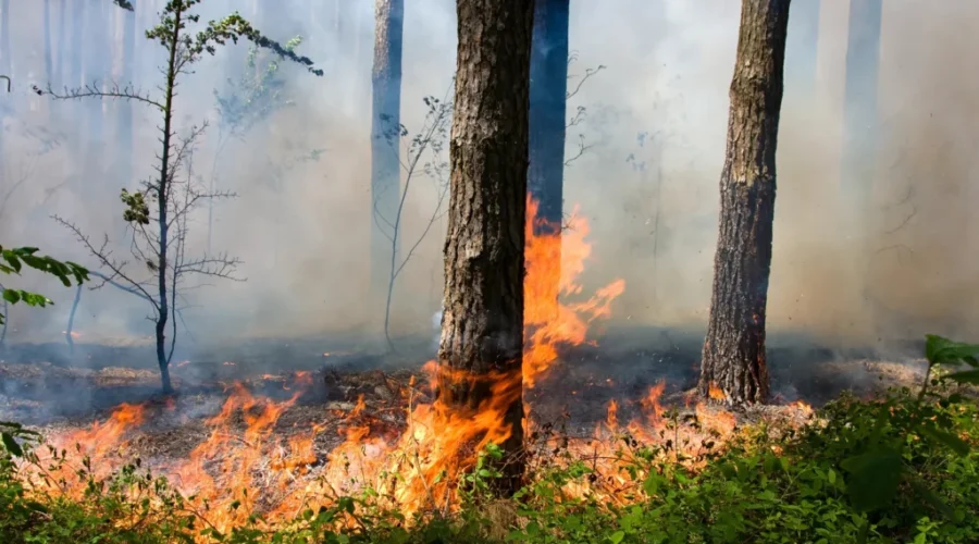 Two new fires break out in Northwest region