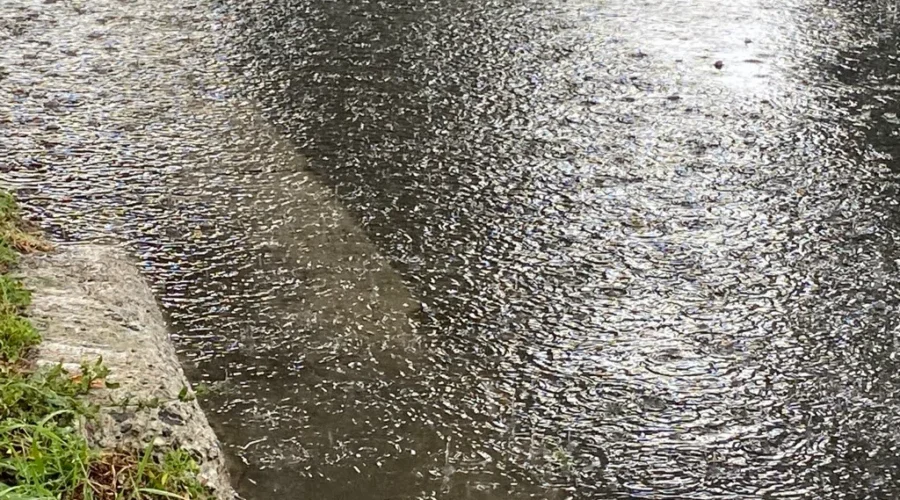 Overnight storm leaves some in the dark