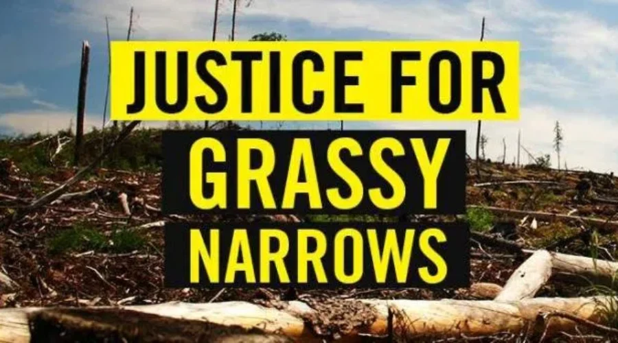 Caravan from Grassy Narrows aims for Toronto