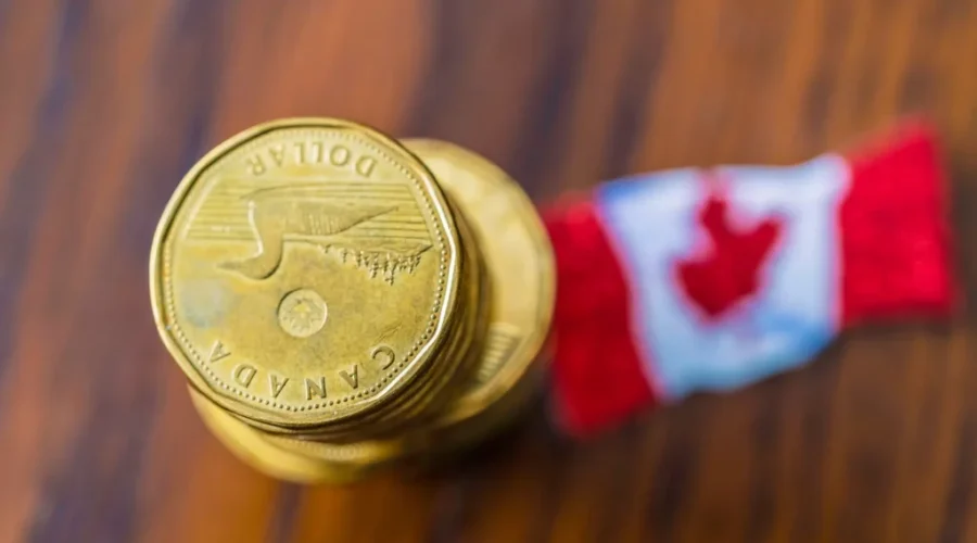 Loonie sees largest increase in a year
