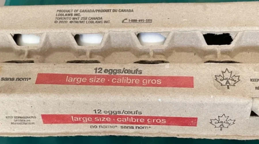 Eggs recalled due possible Salmonella contamination