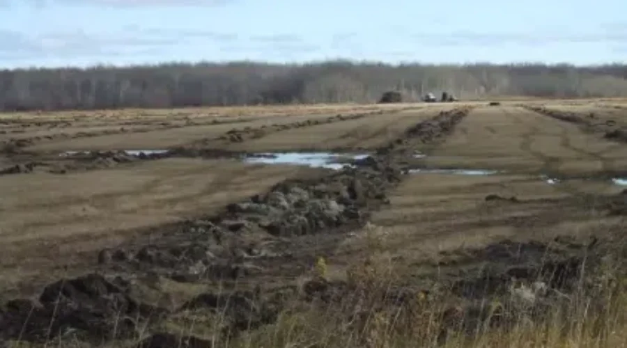 Busy year for Rainy River Future Development Corp.