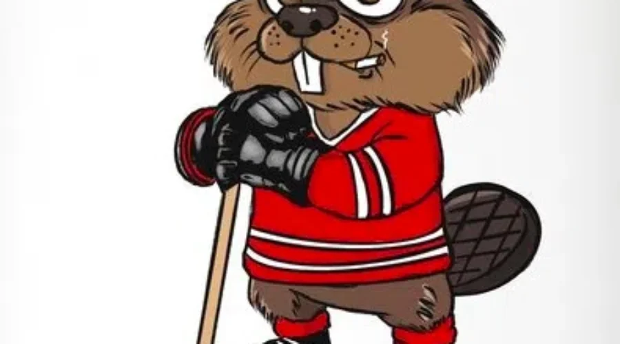 Winnipeg Graphic Designer Gets Their “Elbows Up”