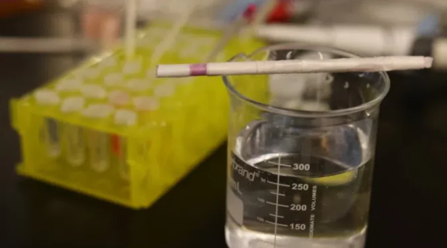 Stir Stick To Detect If Your Drink Is Spiked Developed By Chemists