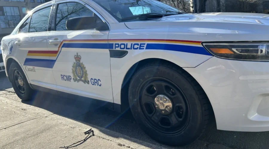 New Brunswick man allegedly steals cop car and drives into Nova Scotia