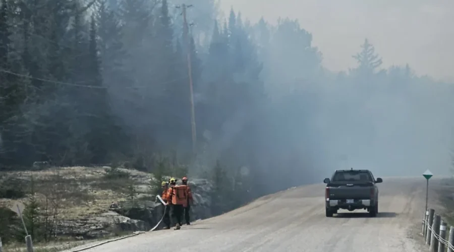 Multiple forest fires Monday afternoon