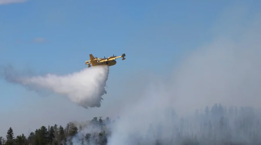 Forest fire closes section of Highway 599