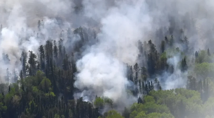 4 new wildfires reported Thursday evening in northwestern Ontario