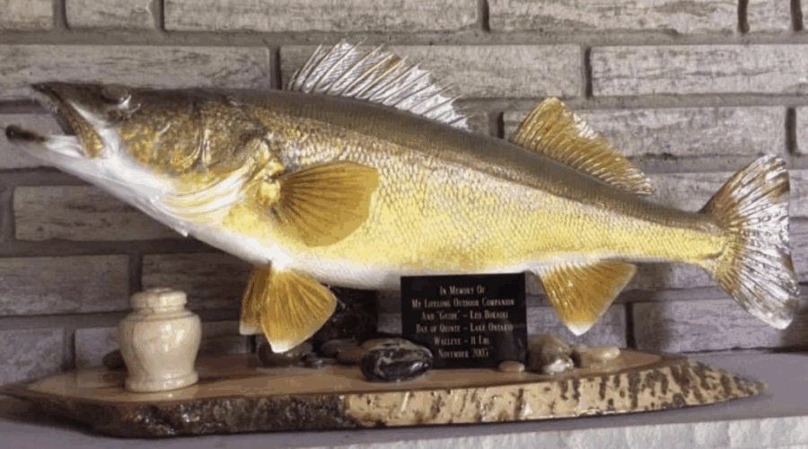 The Last Long Weekend of Summer