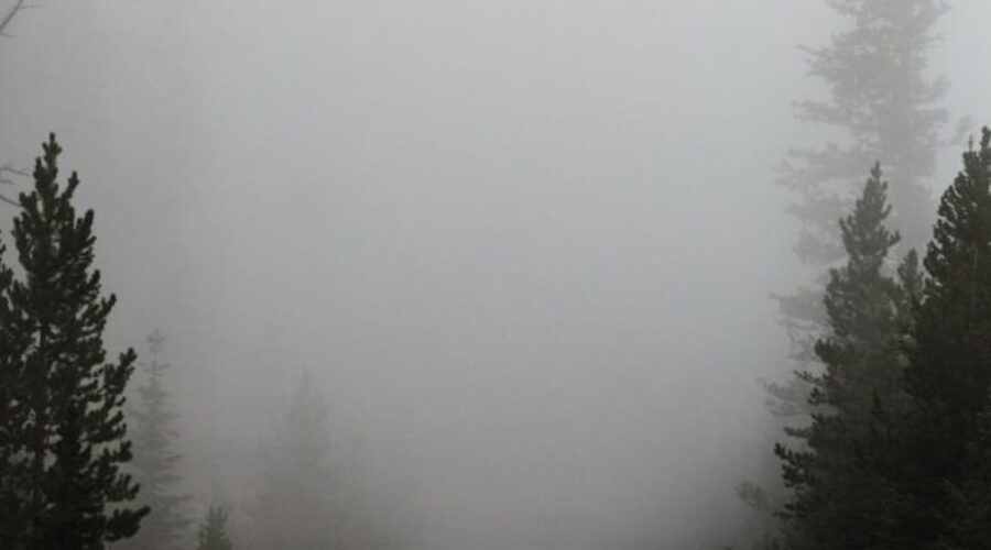 Fog advisory in effect across parts of Northwestern Ontario