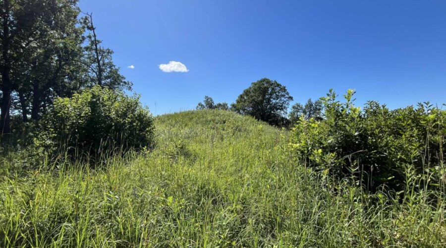 Paddle & Plate: Discovering Kay‑Nah‑Chi‑Wah‑Nung