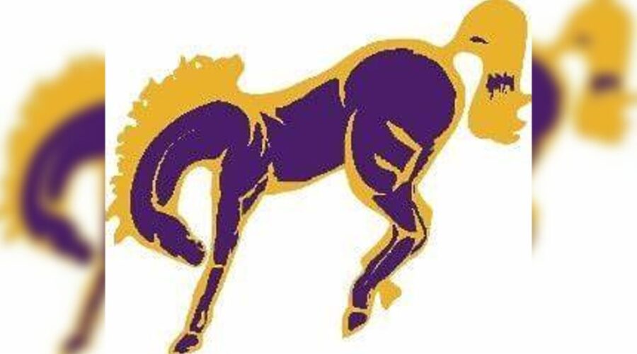 Broncos cross-country team competes in Roseau/Warroad