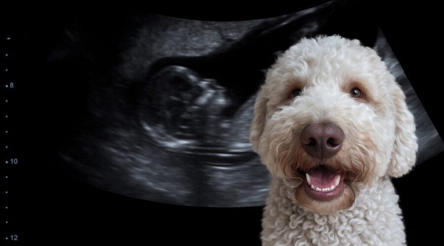 Turns out we’re expecting