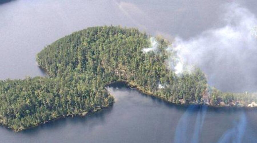 New forest fires reported over the weekend