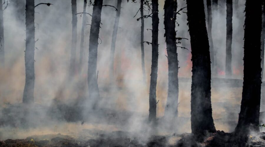 Small-community disaster forum set for 2027