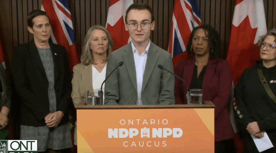 Student trustees speak out against potential elimination of school board trustees