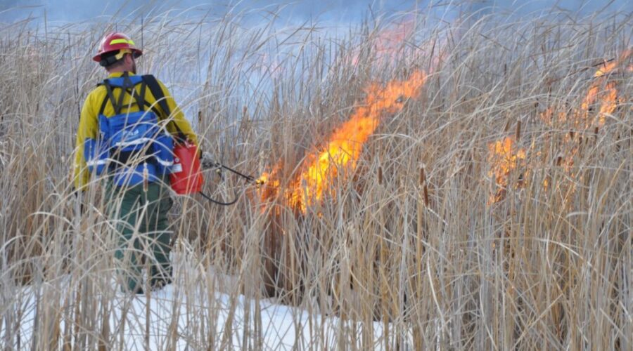 Prescribed burns planned at Voyageurs National Park