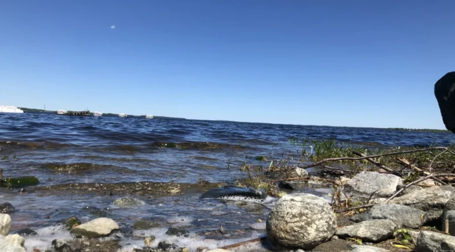 Rainy Lake watershed meeting scheduled for March