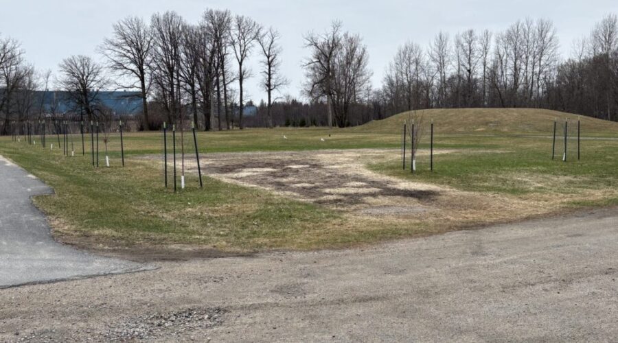 Campground proposal delays decision on Fort Frances dog park