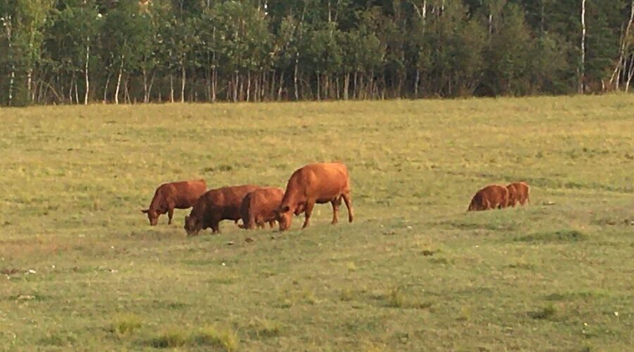 Province moving to guard farmland